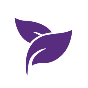 Fertility Lesson 1 - Total Gift of Self